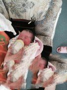 汪女士不孕结婚后婆家支持助孕，在耿哥帮助下成功诞下一男婴